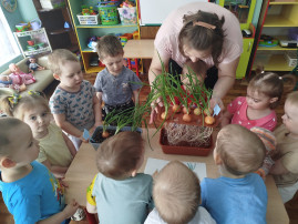 Дети первой младшей группы учились ухаживать за луком, Дети первой младшей группы учились ухаживать за луком,.